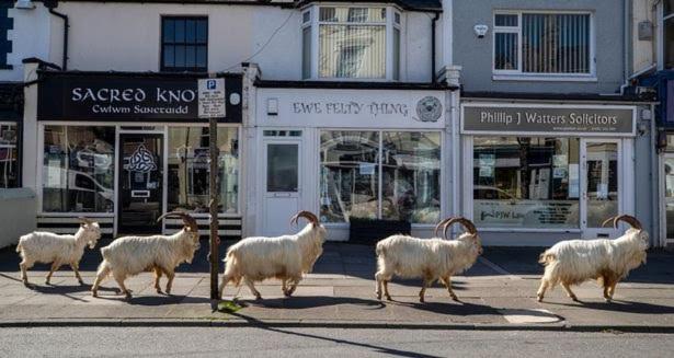 Conwy Pen Cefn Farm Holiday Abergele Luaran gambar