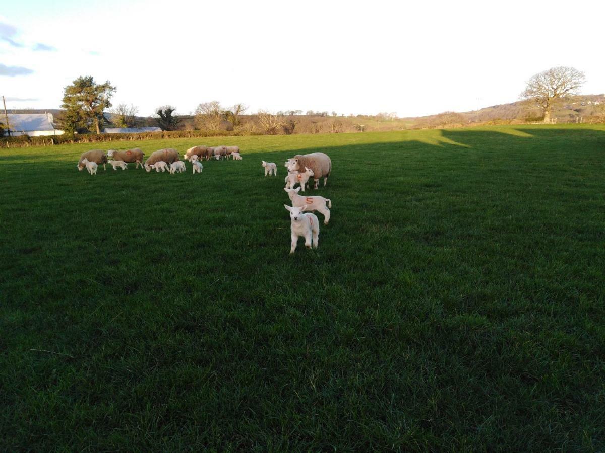 Conwy Pen Cefn Farm Holiday Abergele Luaran gambar